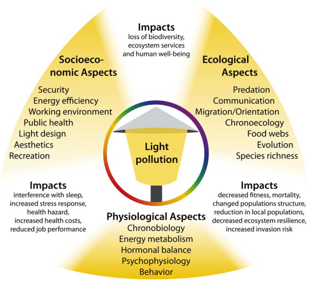 What Are The 4 Effects Of Light Pollution