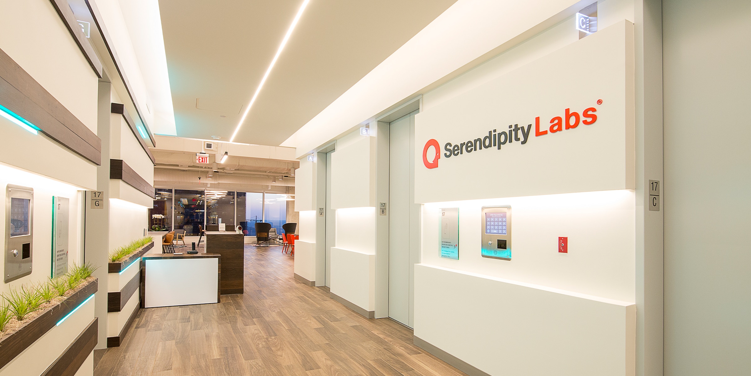 Casestudy Galleryimage Serendipity 17 - WLS Lighting Systems