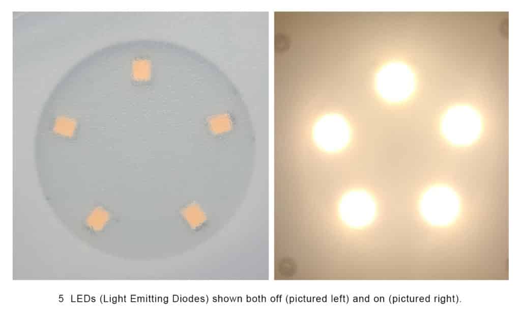 5 LEDs (Light Emitting Diodes) shown both off and on.