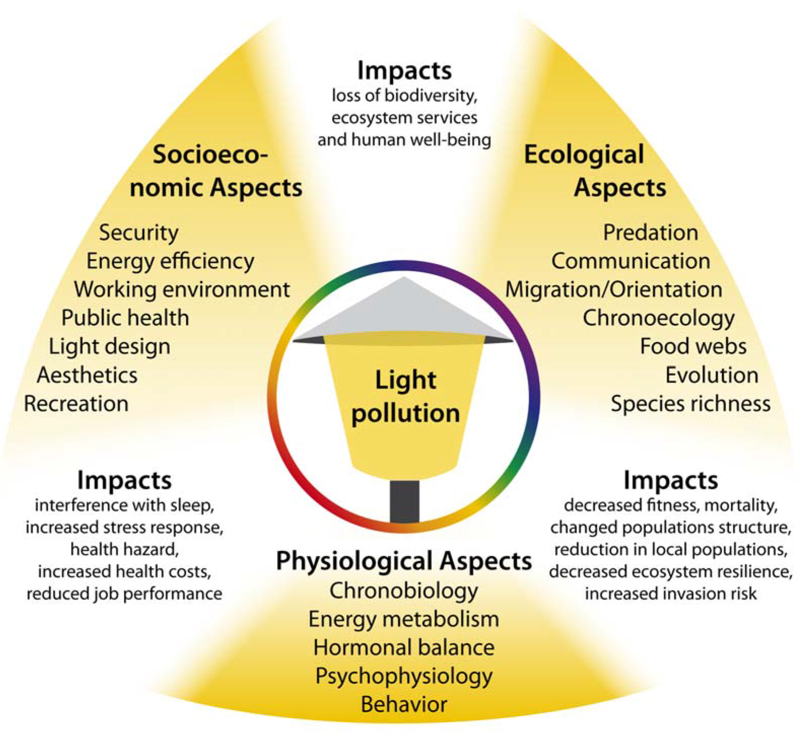 Light Pollution Chart: Impacts of Socioeconomic, Ecological, and Physiological aspects